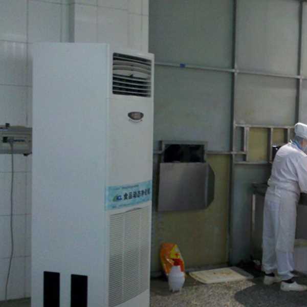 滁州食品正负离子空气杀菌器